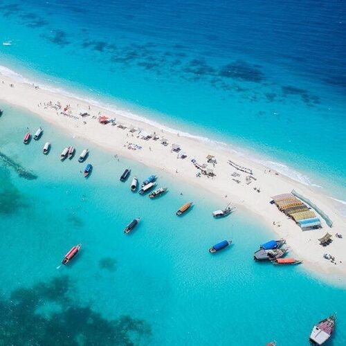 Zanzibar: tra natura e mare cristallino